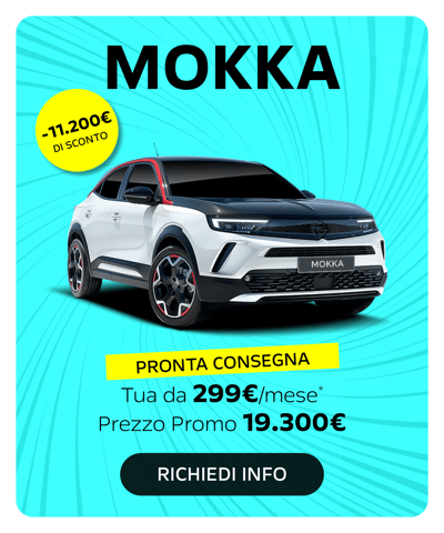 CARD GAMMA OPEL2