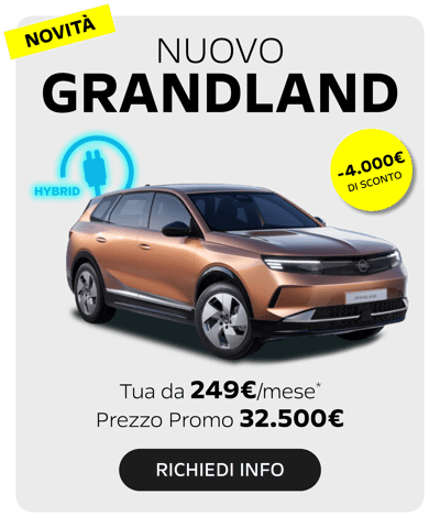 CARD GAMMA OPEL5